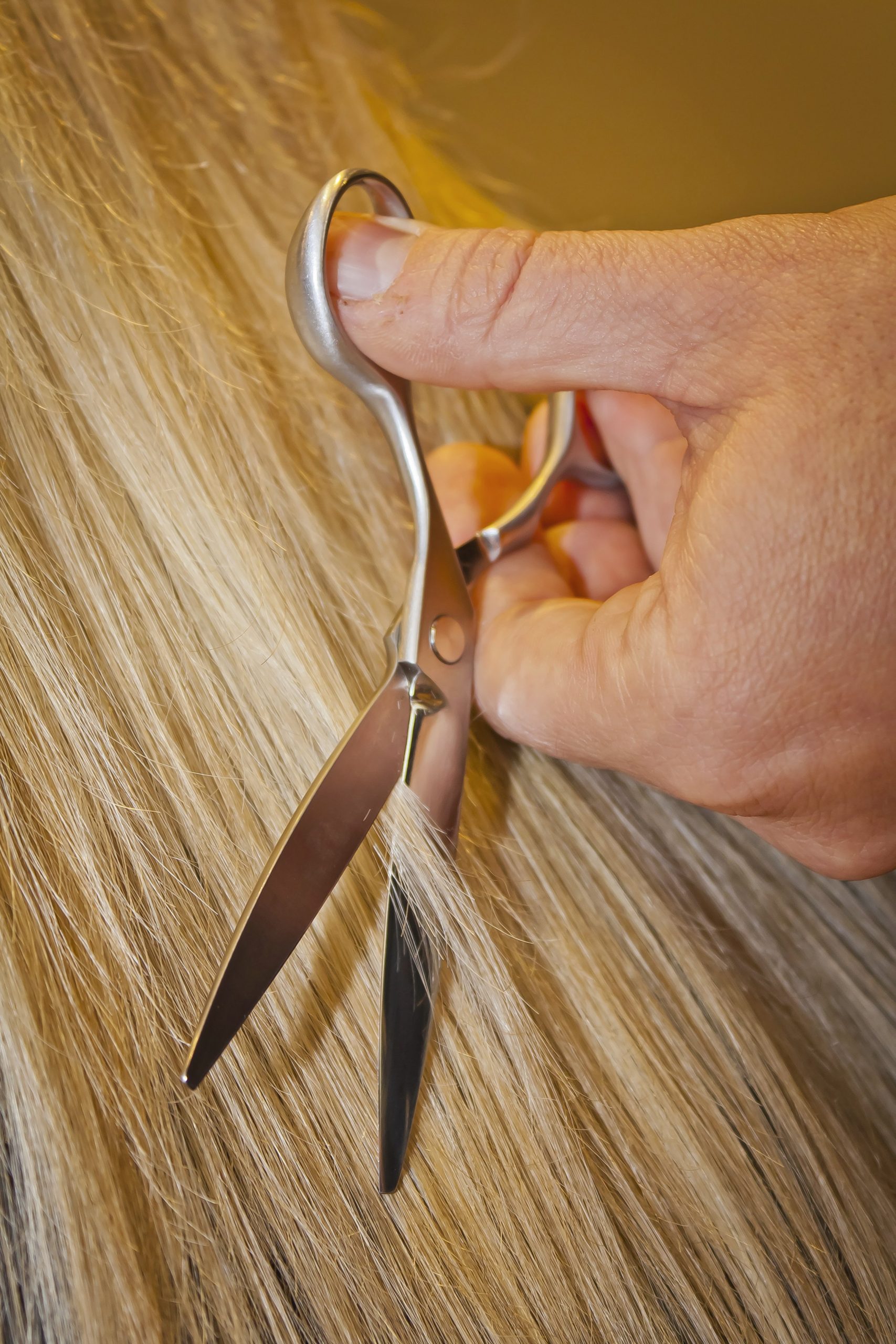 Corte & estilo